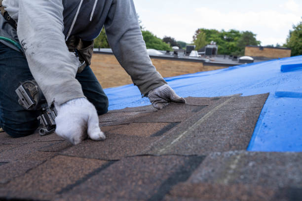Best Roof Leak Repair  in Sardinia, OH