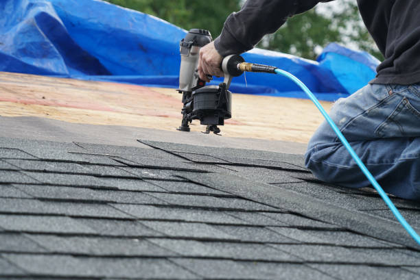 Best Storm Damage Roof Repair  in Sardinia, OH
