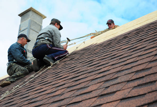 Best Roof Waterproofing Services  in Sardinia, OH